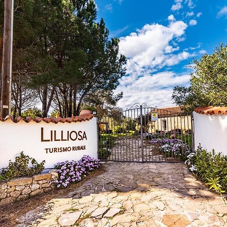 Casa Lilliosa Villa Campavaglio ภายนอก รูปภาพ