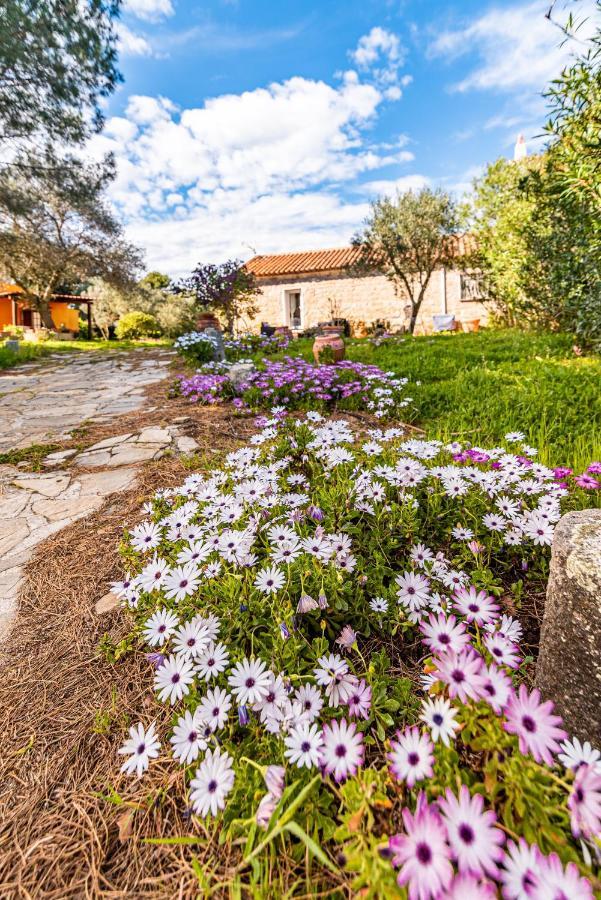 Casa Lilliosa Villa Campavaglio ภายนอก รูปภาพ