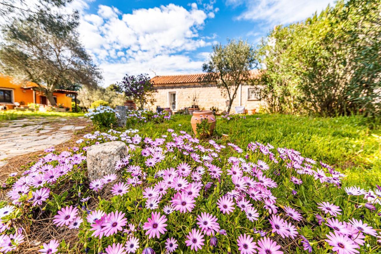 Casa Lilliosa Villa Campavaglio ภายนอก รูปภาพ